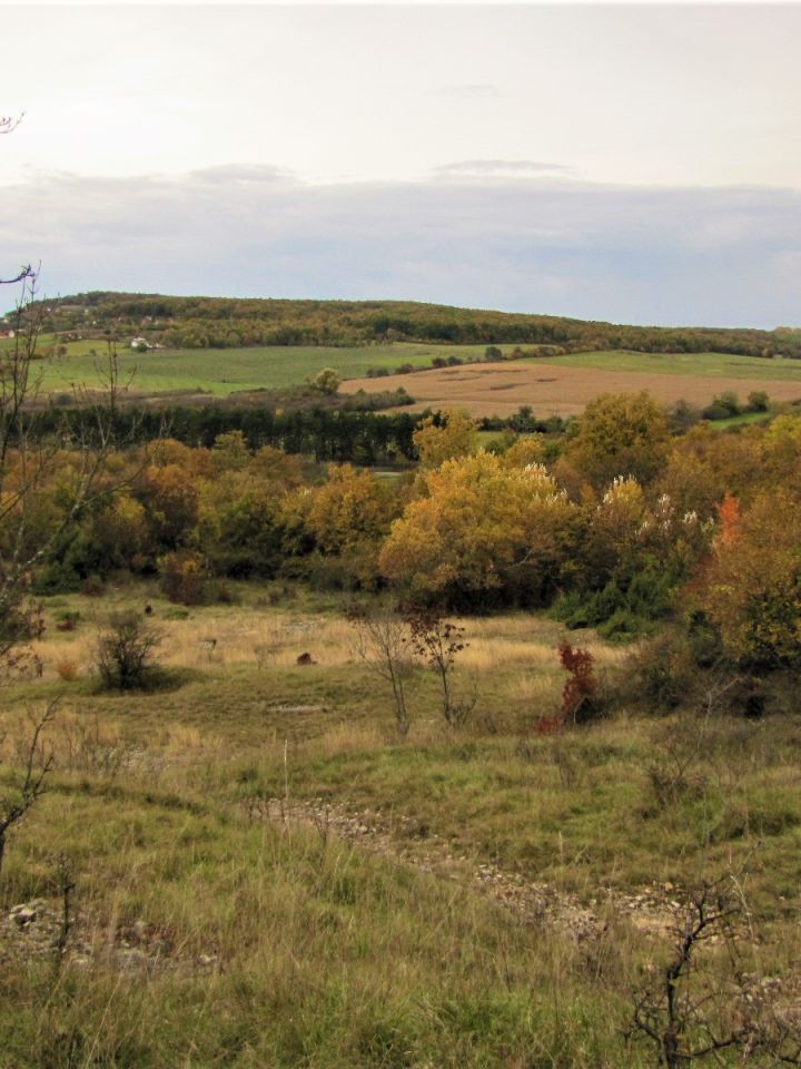 Az egykori bánya felső pereméről remek és egyúttal szokatlan kilátás nyílik a Halom-hegyre.