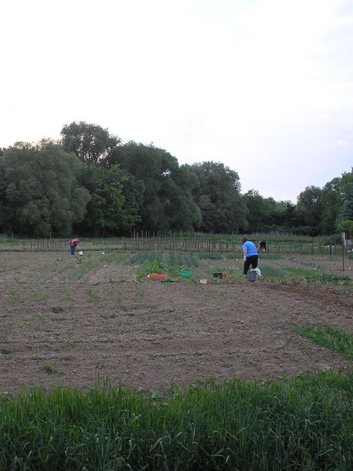 Szentantalfa, Kuti-kert.