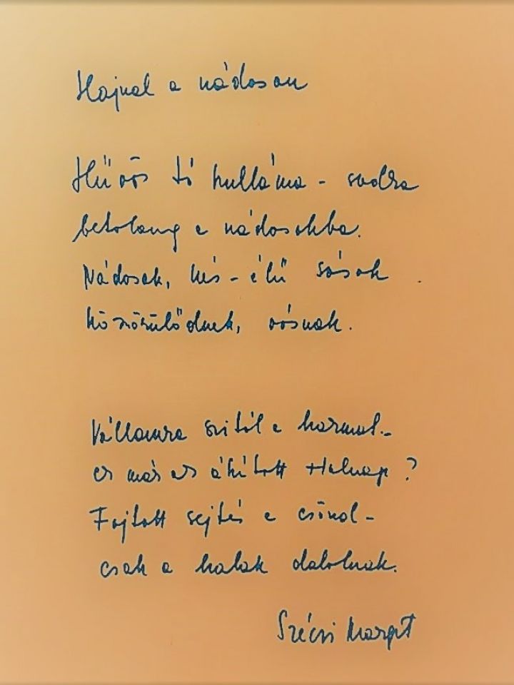 Balatoni vers-koktél