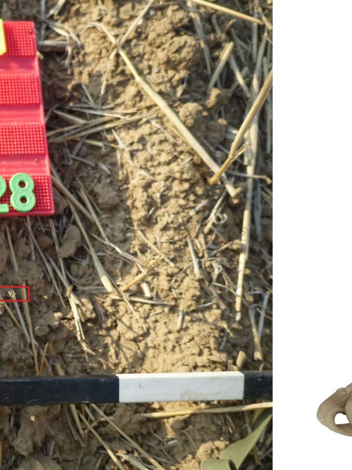 Német GM38 típusú gázálarc membránrésze alumíniumból, ami a maszkot és a szűrőszelencét kötötte össze