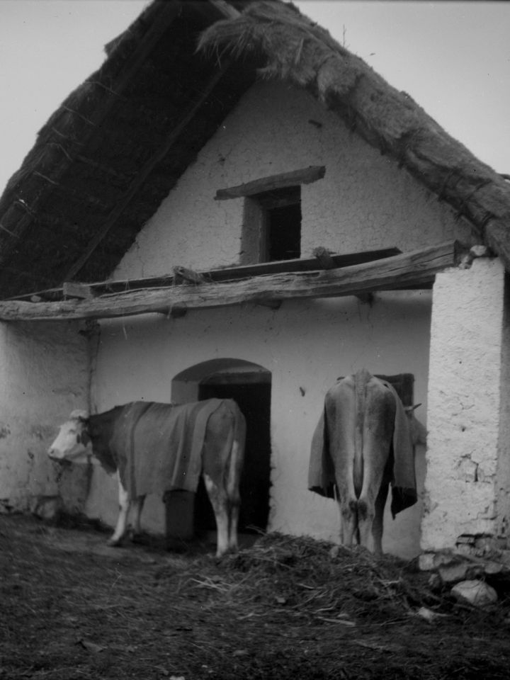 Föld napi földmunka