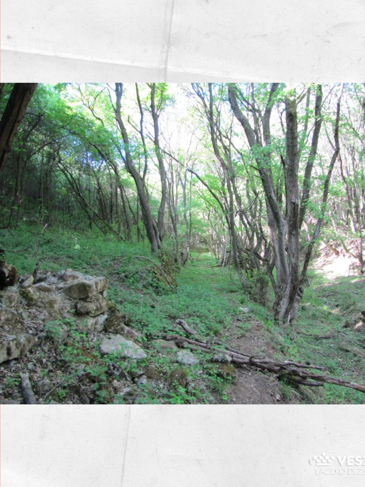 A balatonszőlősi Gella egy elhagyott völgyében még jól kivehető az egykori út, ami egy helyen remekül megépített, kőből, szárazon rakott támfalak közt vezet.