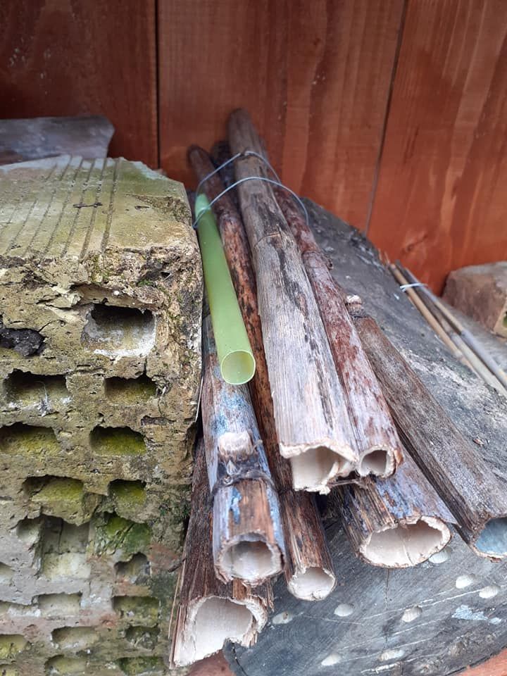 Beporzók napja a Bakonyi Házban is