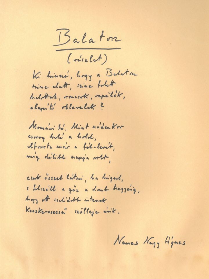 Balatoni vers-koktél