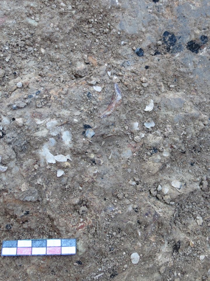 Ami a konyháról kikerült...