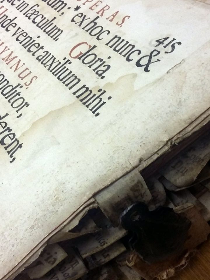 Látványkönyvtárunk 