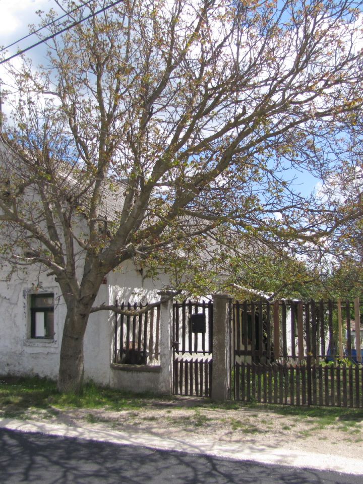 A faluba visszaereszkedve érdemes egy sétát tenni, hiszen számos látnivaló akad, például védett épületek…