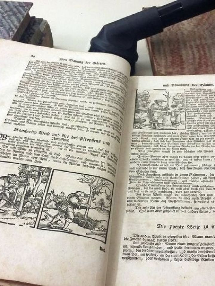 Látványkönyvtárunk 