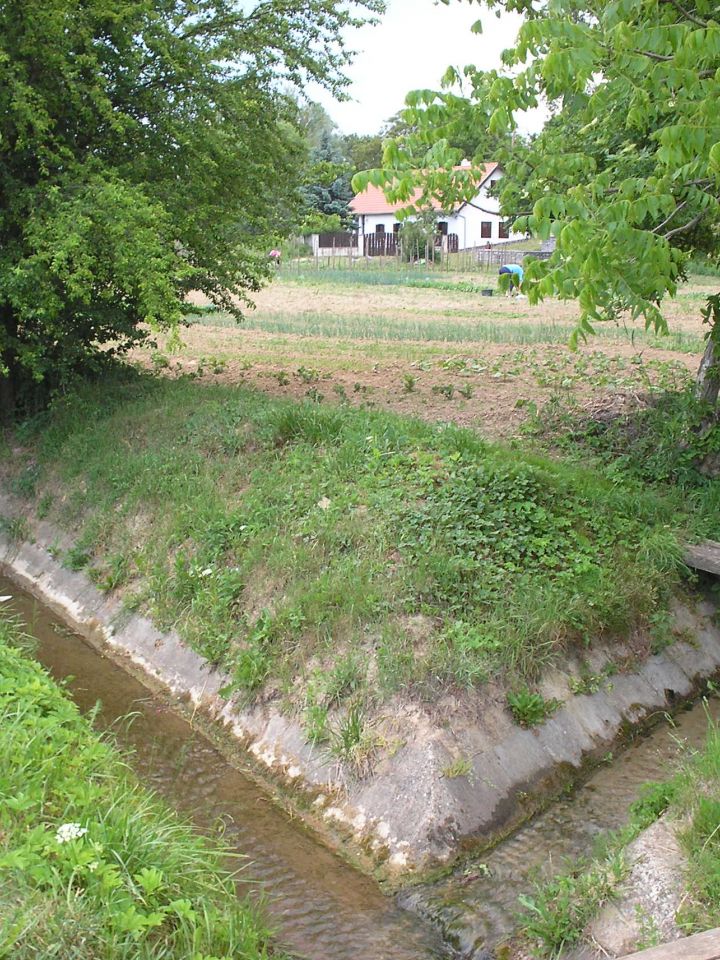 Több káposztáskertnek okozta a vesztét, hogy az azokat éltető források, patakok elapadtak. Ez Antalfa esetében szerencsére nem állja meg a helyét, hiszen itt a Csorsza-patak mellett egy helyben fakadfakadó forrás is lehetőséget nyújt az öntözésére.