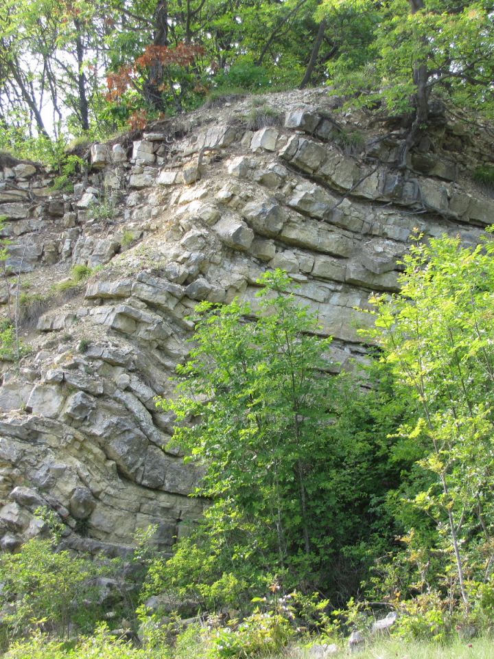 Balatonfüreden a Száka-hegy egykori bányája ma geológiai bemutatóhely…