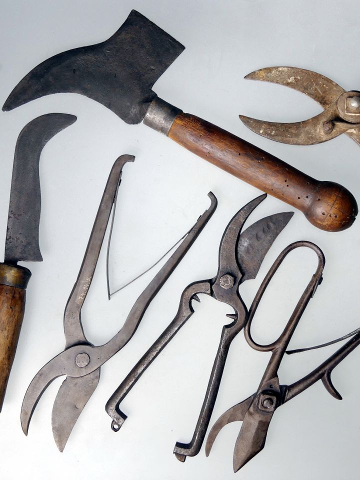 Beporzók napja a Bakonyi Házban is