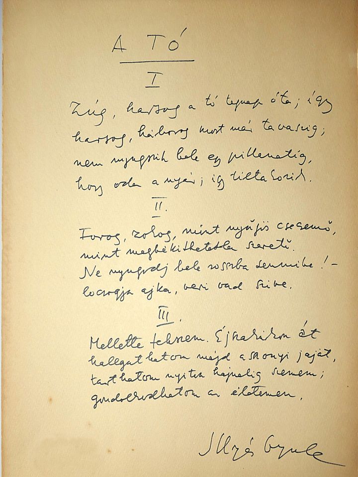 Balatoni vers-koktél