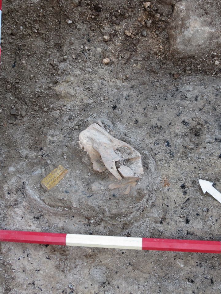 Ami a konyháról kikerült...