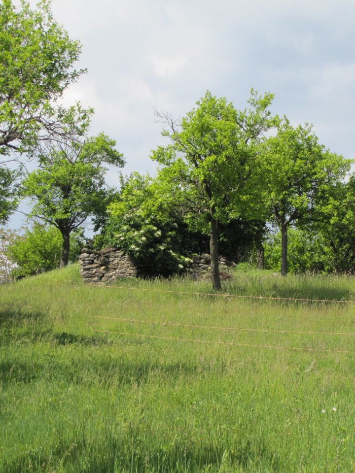 A Temető-dombra nem csak a páratlan kilátás miatt érdemes felsétálni. Az elvadult gyümölcsfák – főként szilvák – és a sok-sok présház, illetve pincerom a terület korábbi gazdag szőlő- és bor, valamint gyümölcskultúrájáról tanúskodnak.