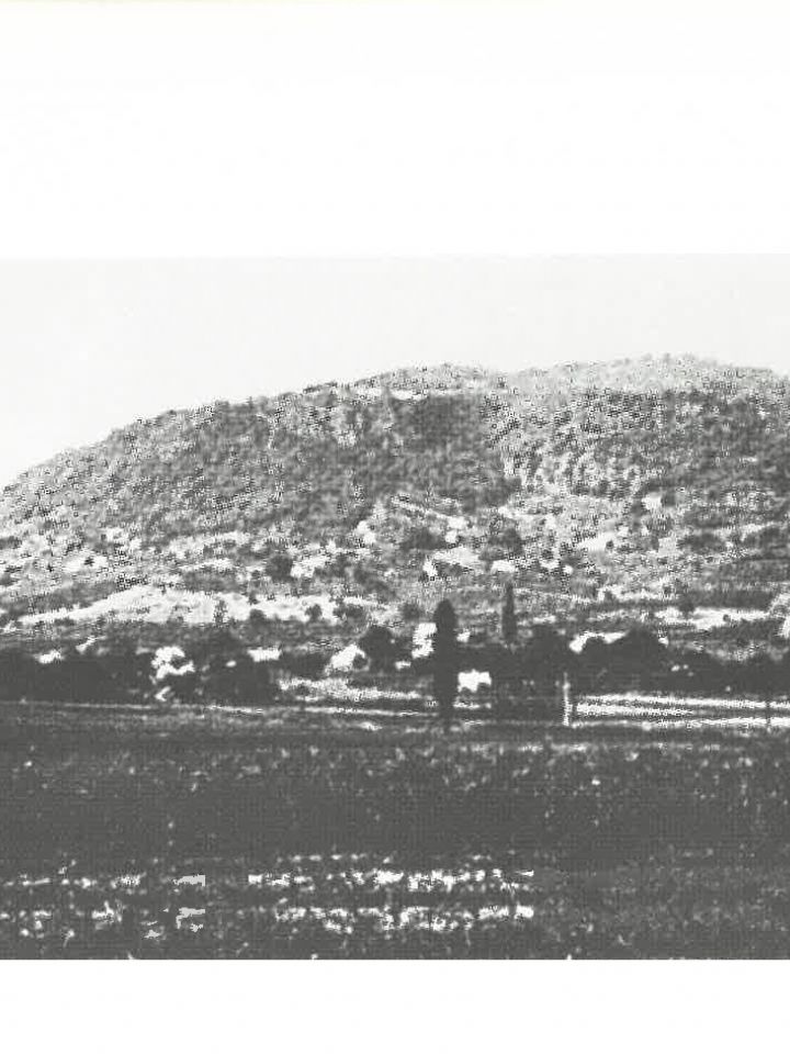 NAGY LÁSZLÓ – 95 