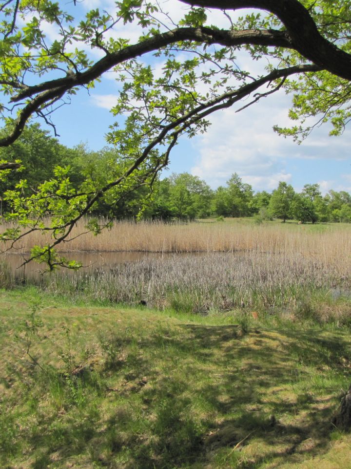 Az öcsi határ bővelkedik különféle vízállásokban, ilyen a zsidó temetőtől északra fekvő, bazalttöbörben létrejött Nagy-tó is.