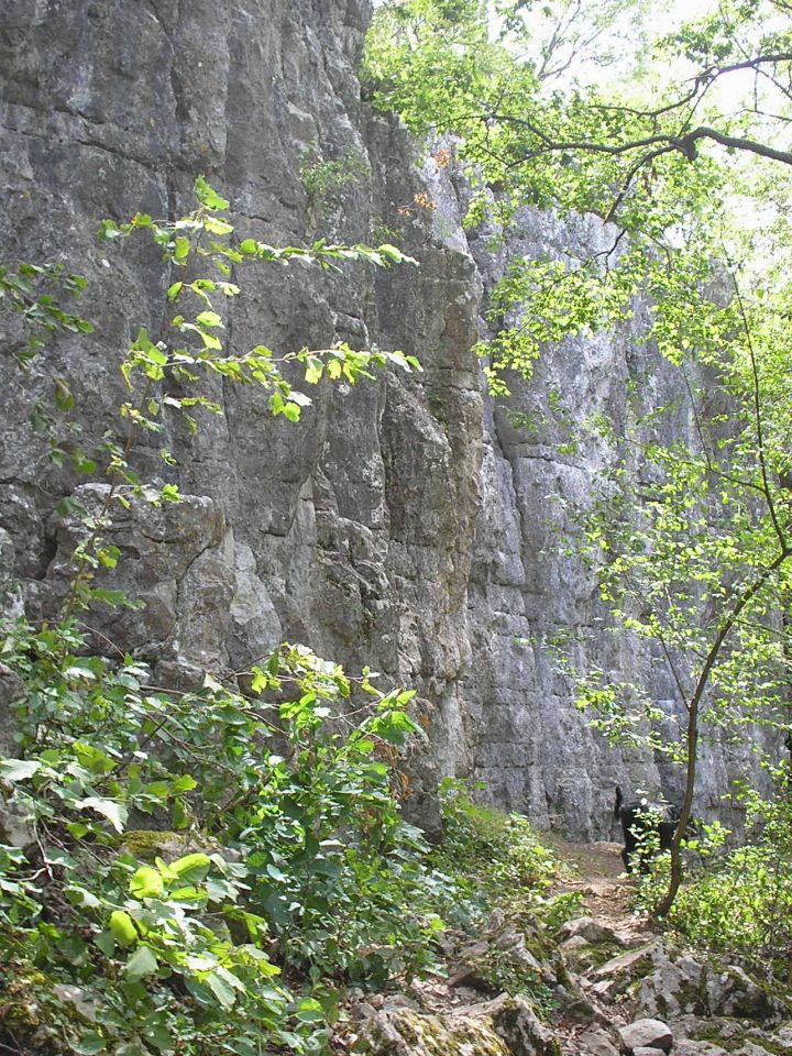 Alattunk, nyugati irányban pedig a páratlan „Kű-völgy” fekszik, remek kirándulóhely és sziklamászó fal!