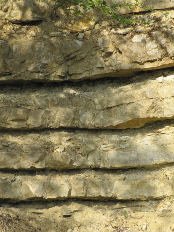 … ahol remekül megfigyelhető a térség egyik legkedveltebb építőkövének, a füredi mészkőnek az eredeti, pados elhelyezkedése.