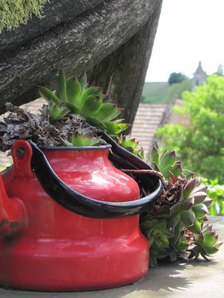 A használaton kívüli kutakat is igyekeznek hangulatossá tenni. Ide biztos nem csap be a villám, hiszen a kőrózsa nem csak a fülfájásra gyógyír, hanem villámhárítónak sem utolsó… 