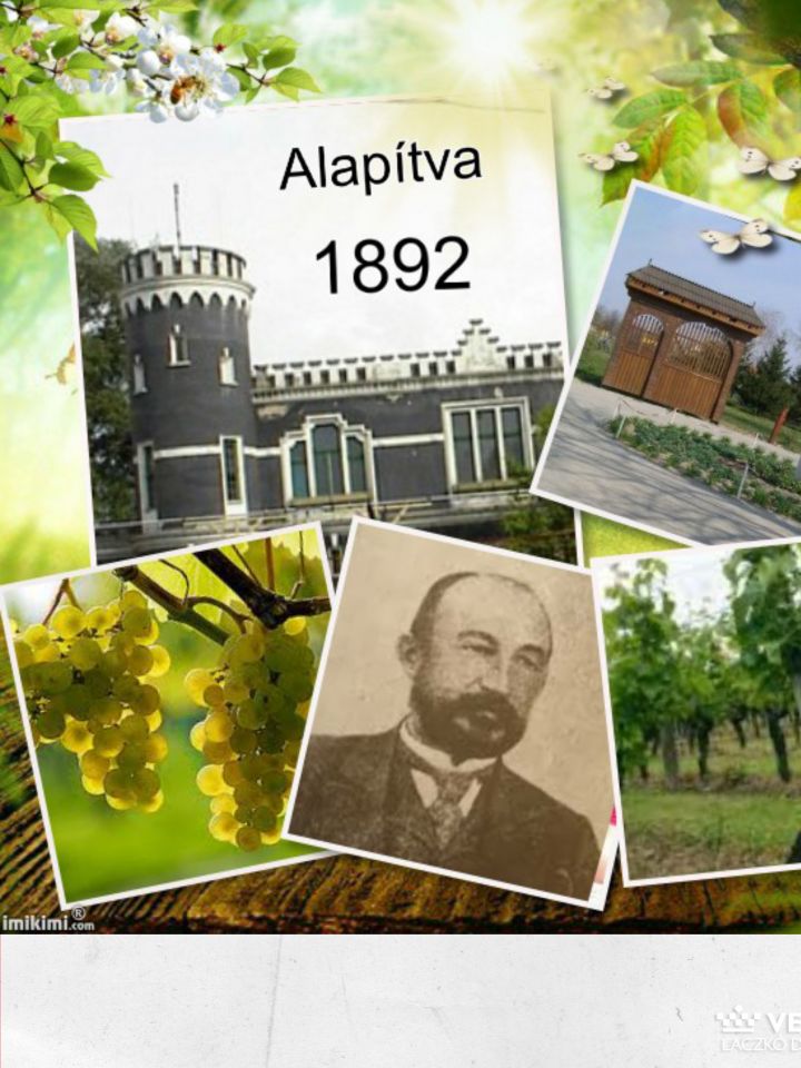 A Helvécia nevet a telepesek Wéber Ede (aki svájci, tehát helvét származású volt) iránt érzett tiszteletük jeléül választották településük számára. A kép forrása: www.helvecia.hu  