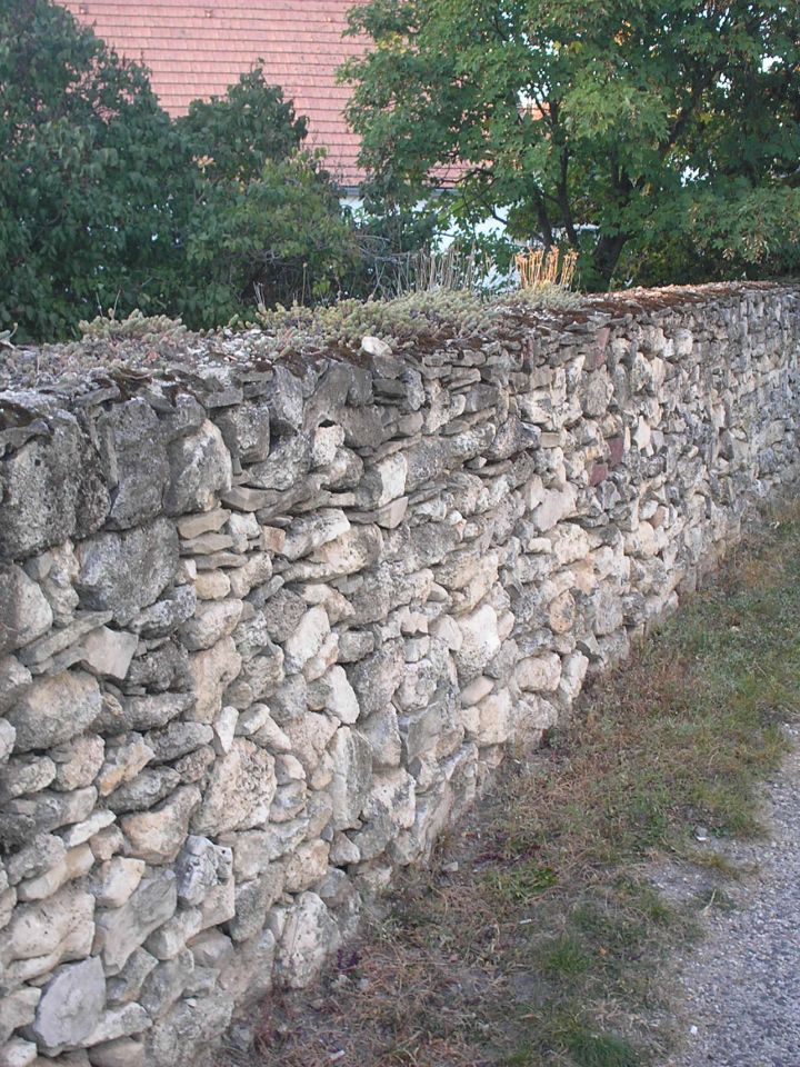 Döntően a helyi, durvaszemcsés mészkőből épített kőkerítés Balatonakaliban.