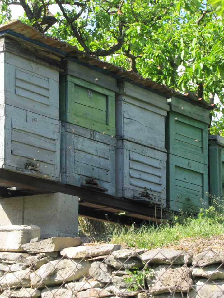 A településen több háznál is foglalkoznak méhészkedéssel. 