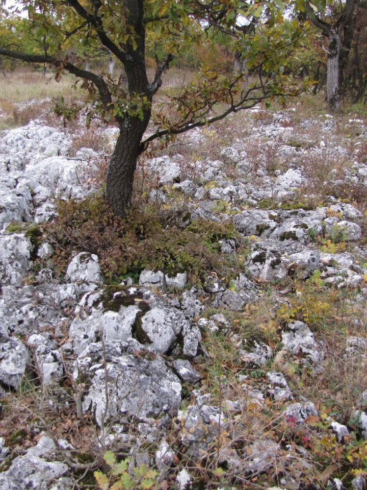 Nem kell a Bükkig elmennünk, hogy ilyen csodás „ördögszántásokkal” találkozzunk, elég, ha csak felsétálunk a bánya által szerencsére megkímélt platóra.