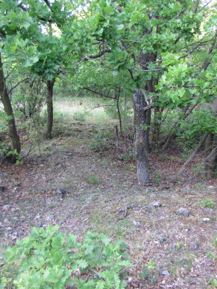 Ezek a kis mélyedések a felszíni, szerte a vidékünkön előforduló kőfejtések emlékét őrzik. A kép az akali határban készült.