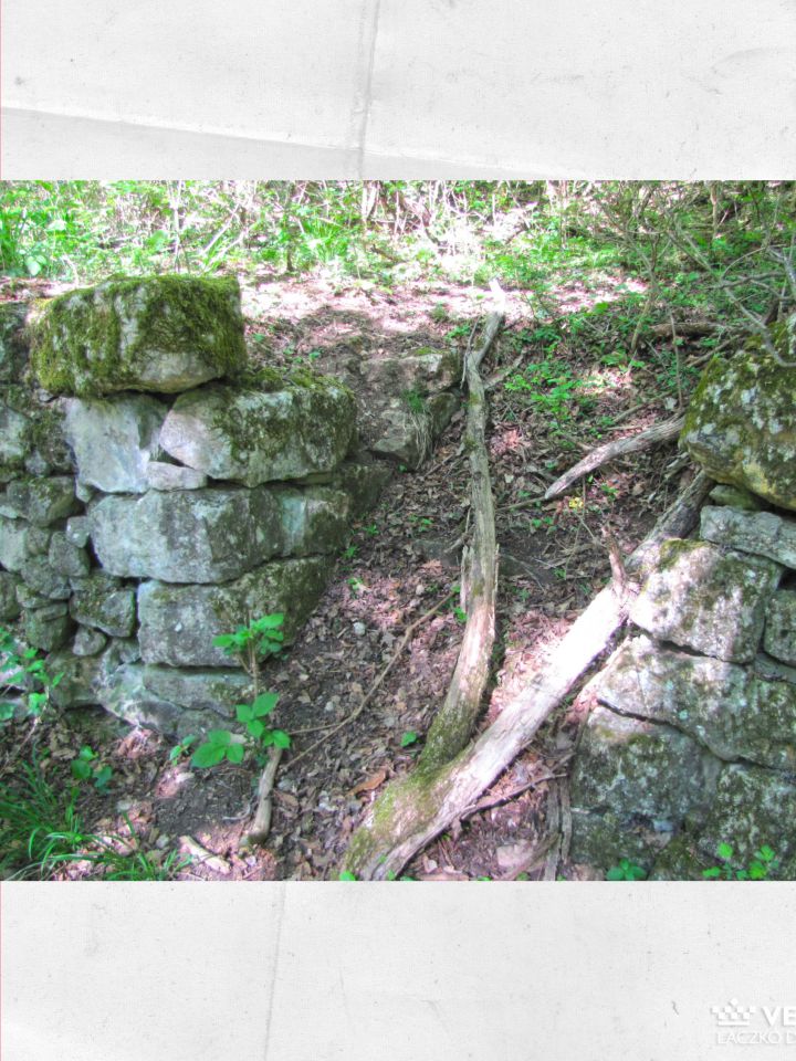 Egy támfal megtörésében lépcső vezet egyik teraszról a másikra... szinte felfoghatatlan milyen értékű tudás, mennyi munka veszett itt el, ami egykor virágzó szőlő- és borkultúrát éltetett... mementóinak legalább részleges megmentése, bemutatása szép és ne