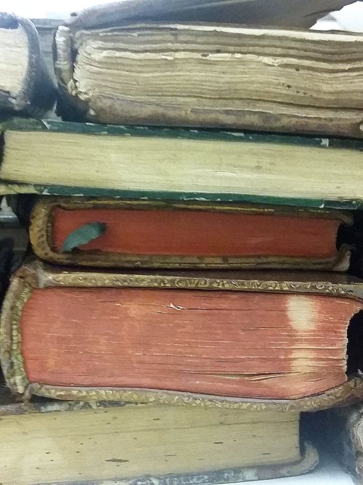 Látványkönyvtárunk 