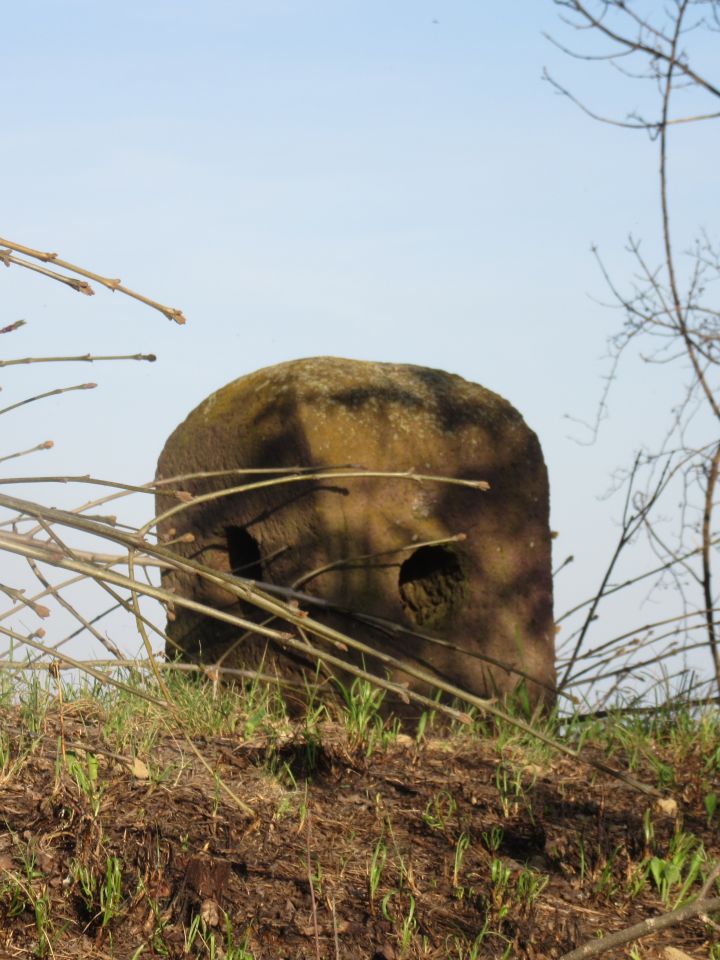Pince vörös homokkő szellőzőnyílása Dörgicse Agyaglik nevű dűlőjében.
