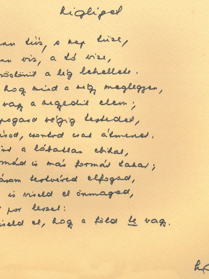 Balatoni vers-koktél