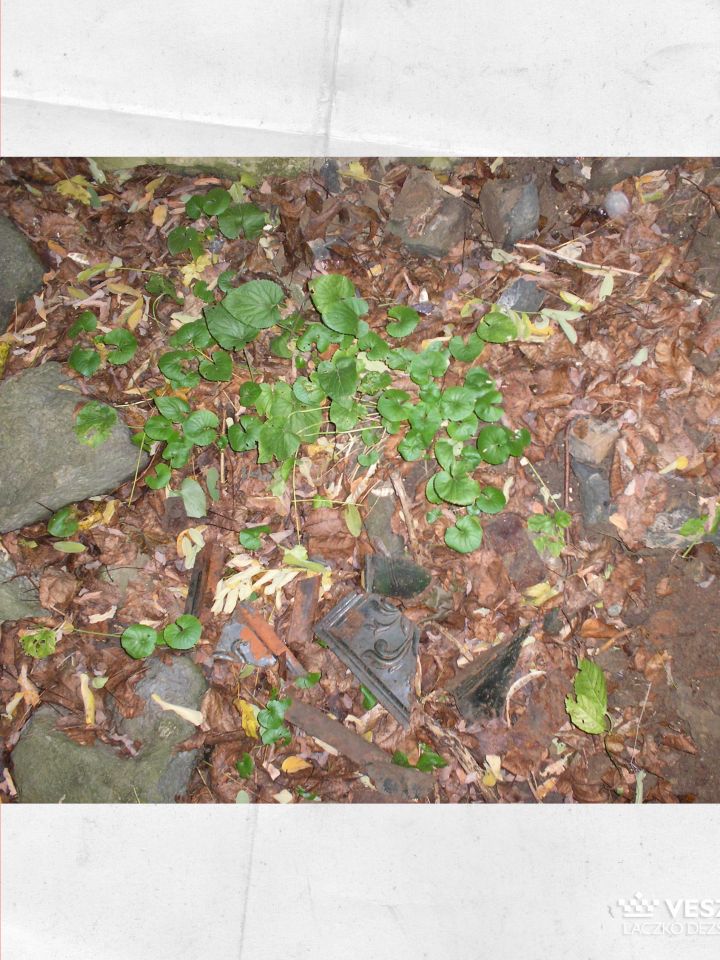 Több egykori présházban olyan berendezési tárgyak is fellelhetők még – ahogy látható, természetesen elpusztult állapotban –, mint ez a képen látható, ép állapotában az épület díszéül is szolgáló cserépkályha, melyek azóta présházainkból szinte kivétel nél