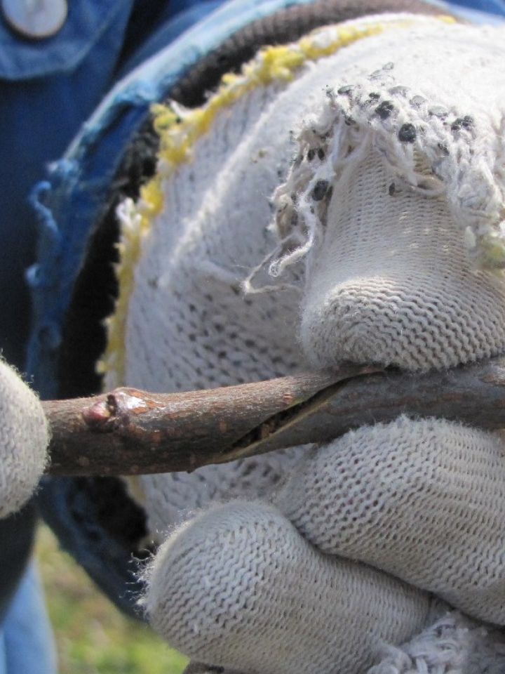 A lényeg a pontos illesztés! (A kép csak illusztráció)