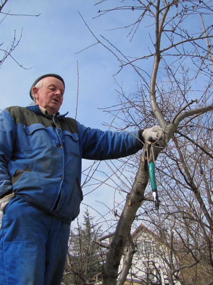 Gyümölcsoltó boldog kertész