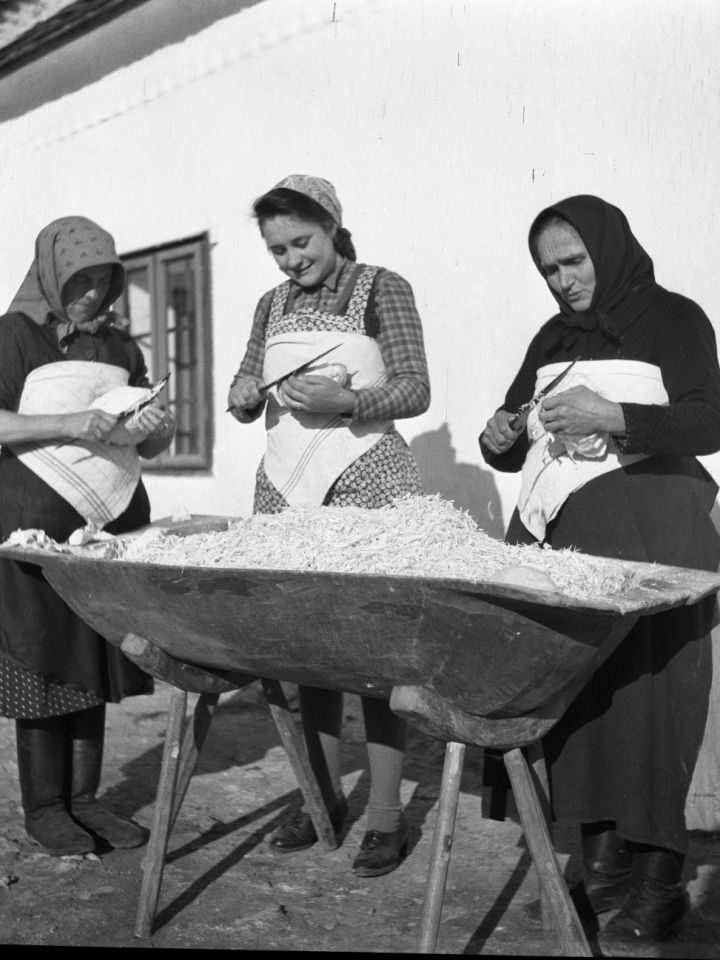 Káposztaeltevés. Vajkai Aurél szentgáli felvétele 1942-ből. 5681.