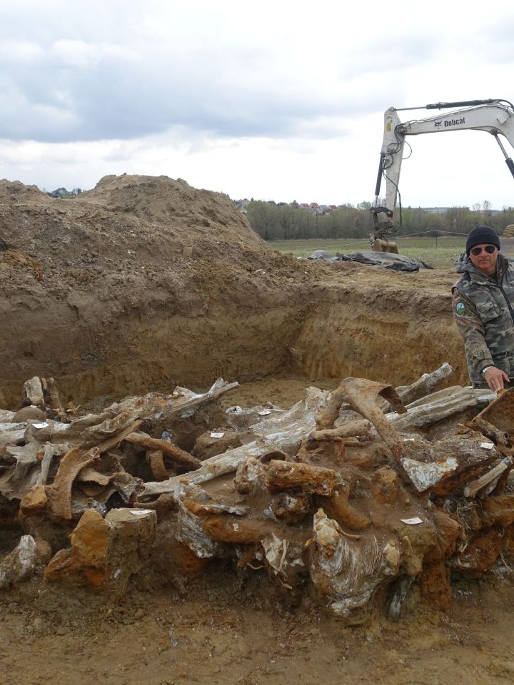 Pálffy Sándor a Focke-Wulf 190 F8 kibontott maradványaival 2023. március