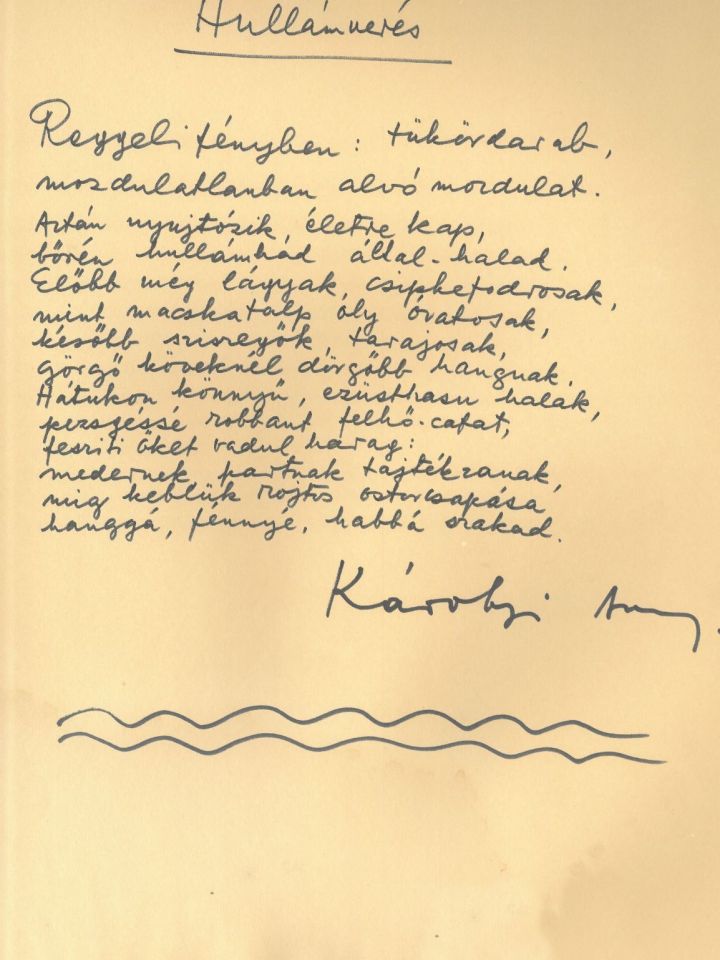 Balatoni vers-koktél