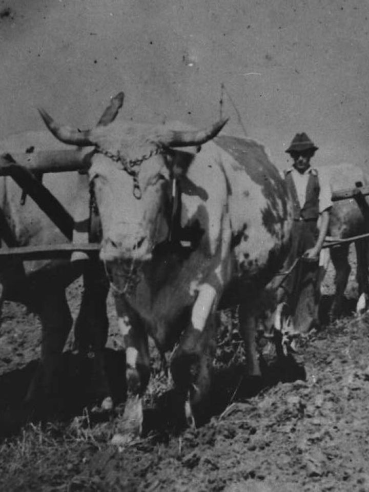 Föld napi földmunka