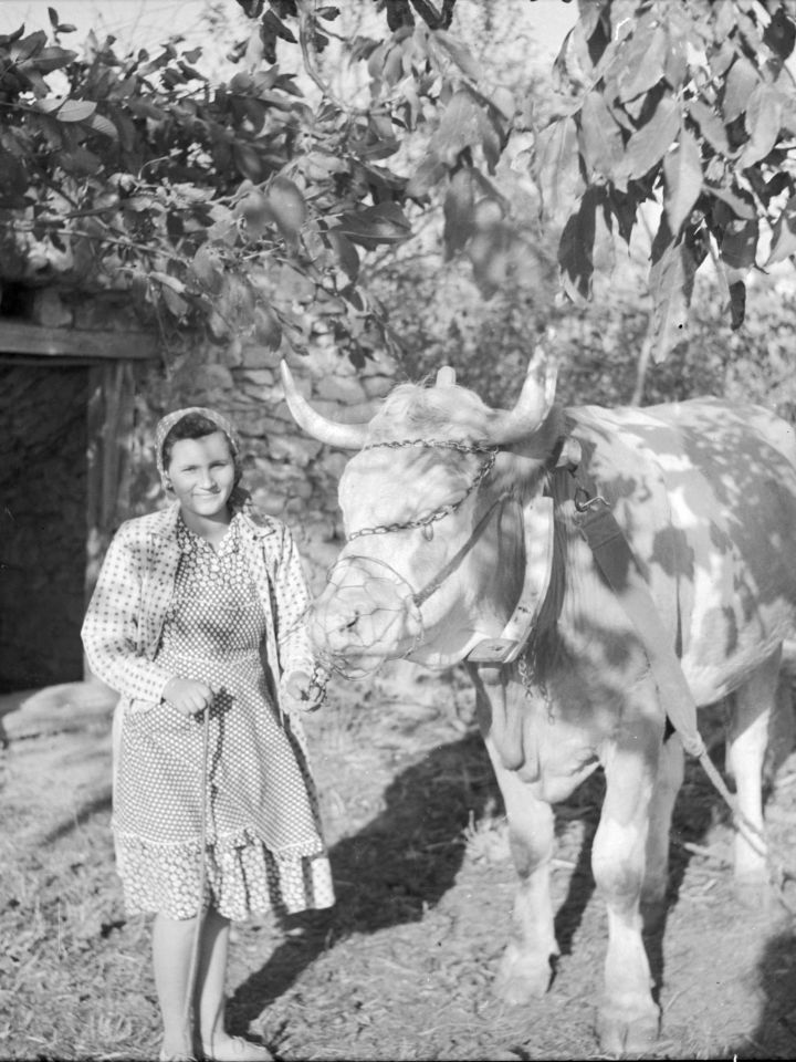 Föld napi földmunka