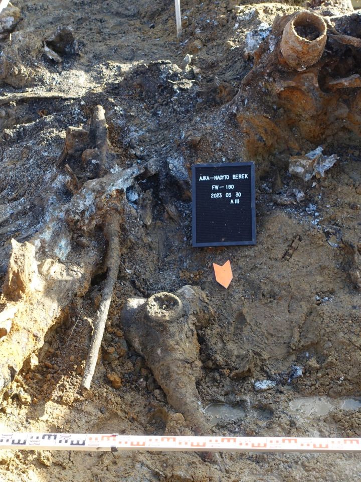 A 20 mm űrméretű MG-151 gépágyú, mellette a légcsavaragy 2023. március