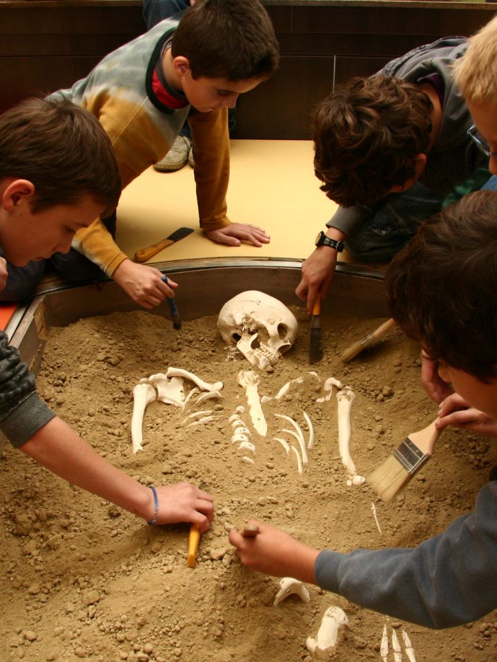 Múzeumpedagógiai börze