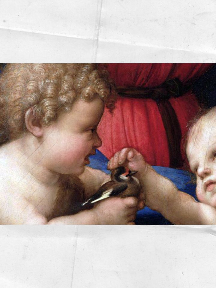 Raffaello Santi: Madonna tengelicével, 1505-1506