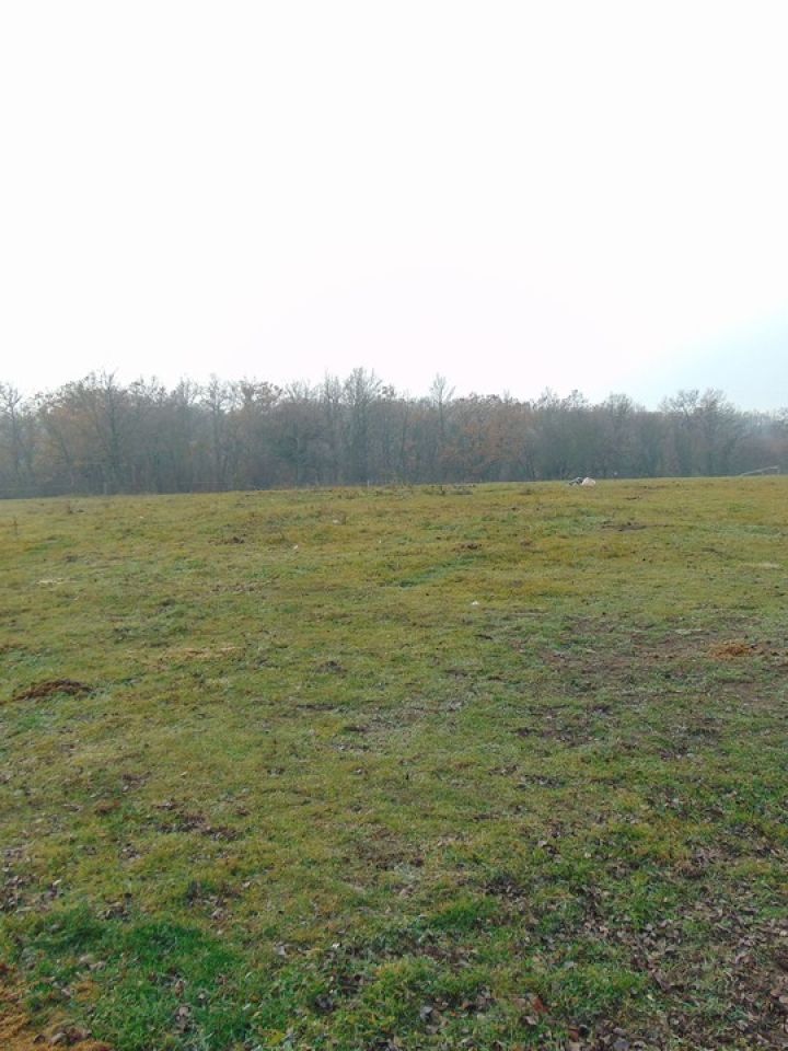 Az üst töredék lelőhelye, Felsőörs Ányosháza