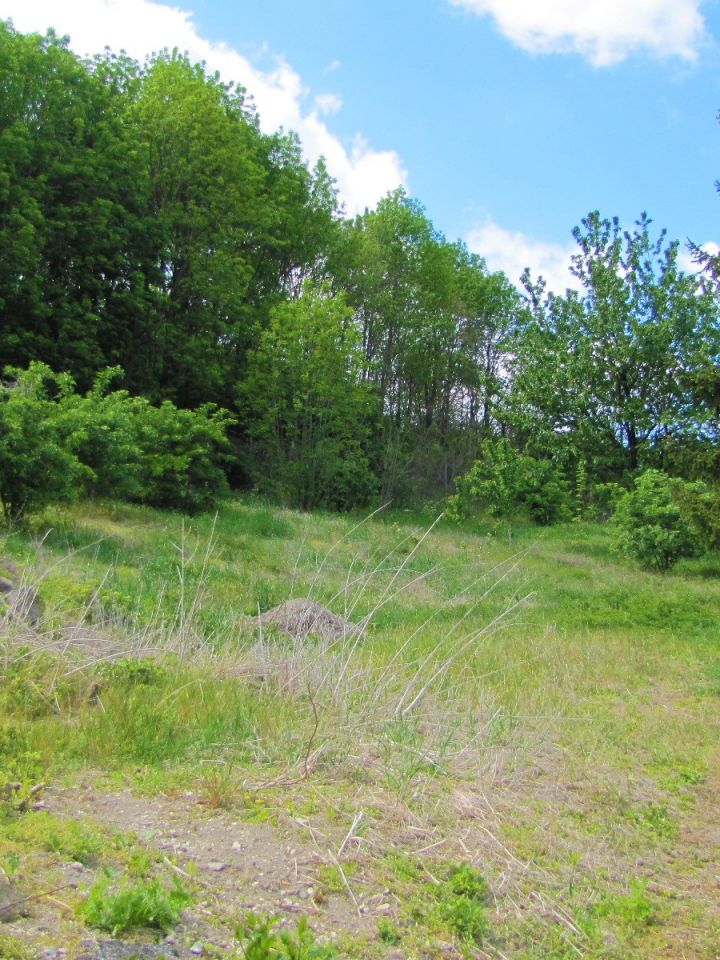 Sajnálatunkra a Bakonyi Ház közvetlen előzményének, mintájának tekinthető lakóháznak manapság már csak a hűlt helyét találjuk, ugyanis az évtizedekkel ezelőtt elpusztult. 