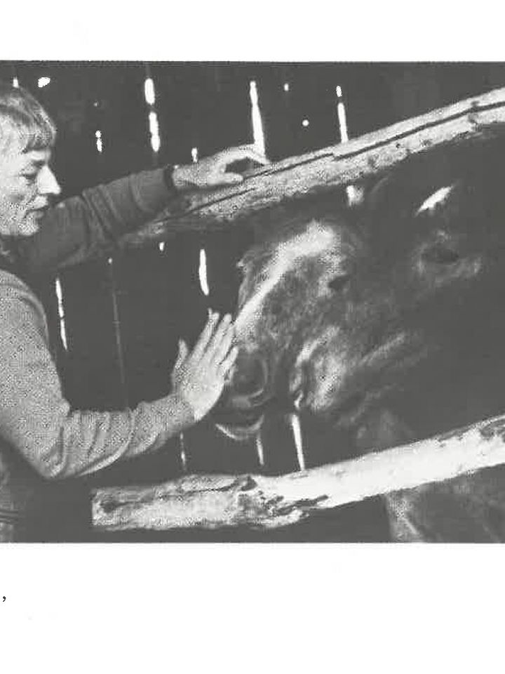 NAGY LÁSZLÓ – 95 