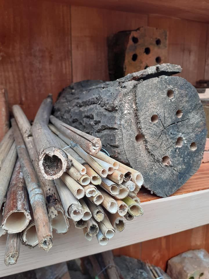 Beporzók napja a Bakonyi Házban is