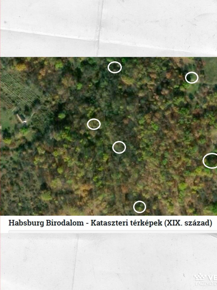 A balatonszőlősi Nagy-Gellán járunk.