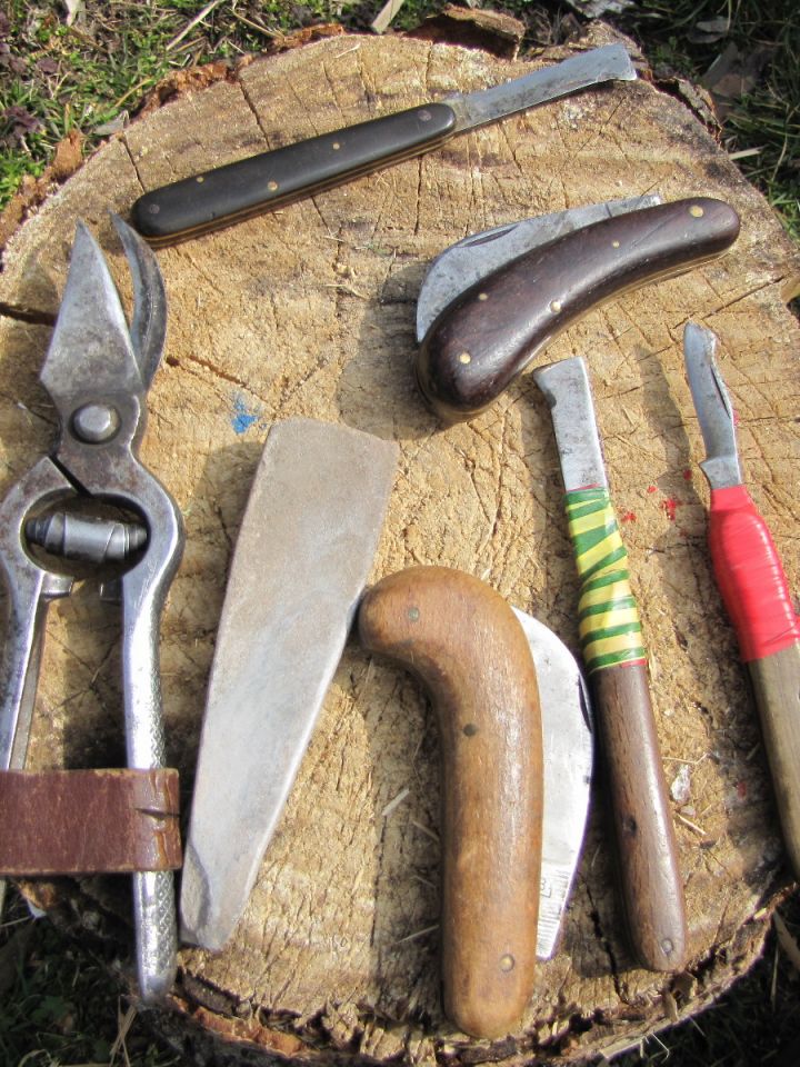 A kertész szerszámai: metszőolló, fenőkő, kacorkés, oltó- és szemzőkés.