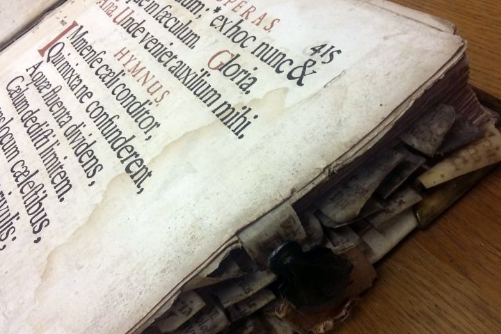 Látványkönyvtárunk 